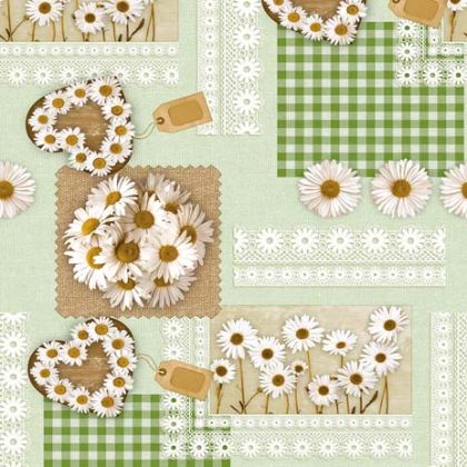 МУШАМА ЗА МАСА  МОДЕЛ 233D